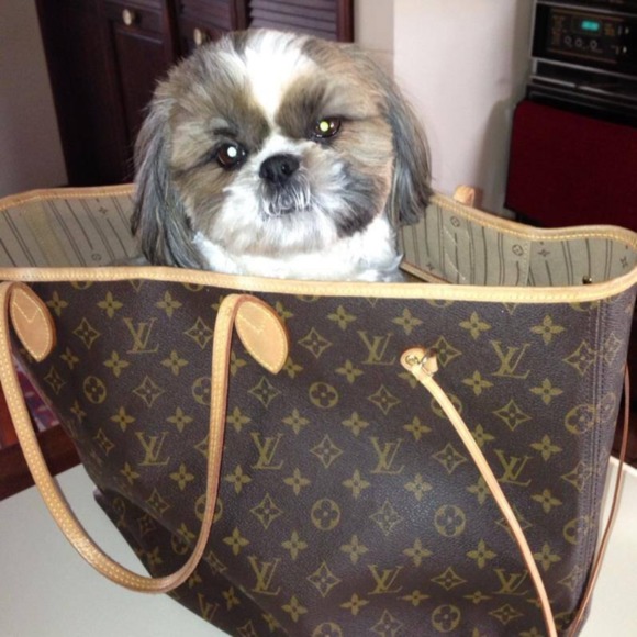bagmaven